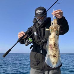 South Current 釣果