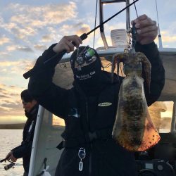 South Current 釣果