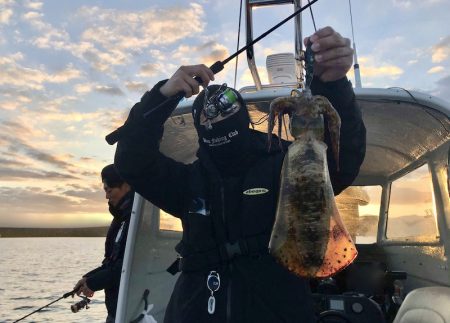 South Current 釣果