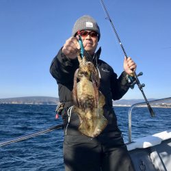 South Current 釣果