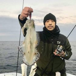 South Current 釣果