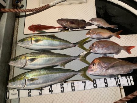 オーシャンスター(Ocean Star) …