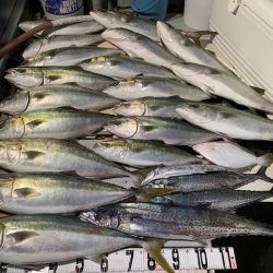 オーシャンスター(Ocean Star) 釣果