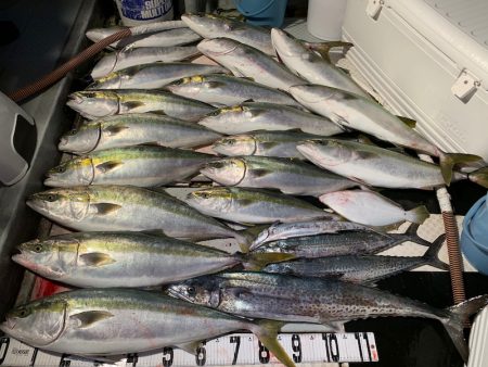 オーシャンスター(Ocean Star) …