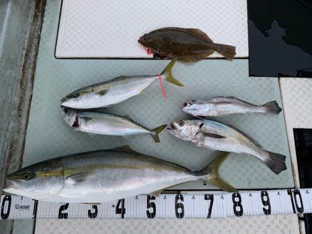 オーシャンスター(Ocean Star) …