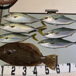 オーシャンスター(Ocean Star) 釣果