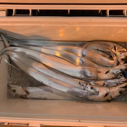 オーシャンスター(Ocean Star) 釣果