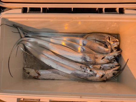 オーシャンスター(Ocean Star) 釣果