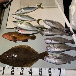 オーシャンスター(Ocean Star) 釣果