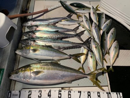 オーシャンスター(Ocean Star) …