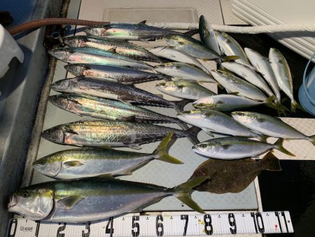 オーシャンスター(Ocean Star) …