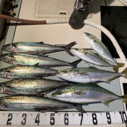 オーシャンスター(Ocean Star) 釣果