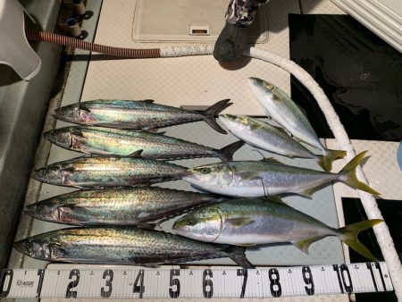 オーシャンスター(Ocean Star) …