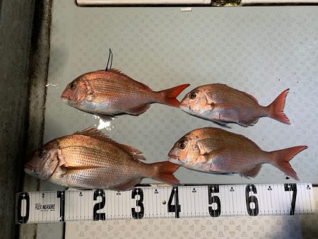 オーシャンスター(Ocean Star) …