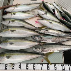 オーシャンスター(Ocean Star) 釣果