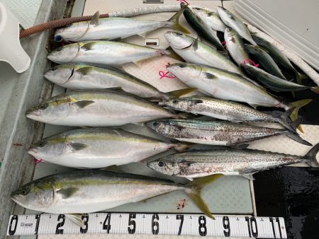 オーシャンスター(Ocean Star) …