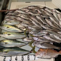 オーシャンスター(Ocean Star) 釣果