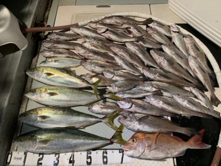 オーシャンスター(Ocean Star) …