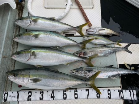 オーシャンスター(Ocean Star) …