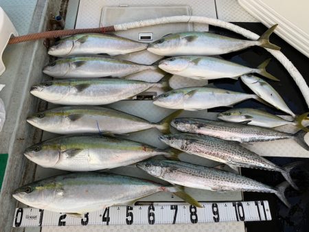 オーシャンスター(Ocean Star) …