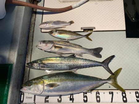 オーシャンスター(Ocean Star) …