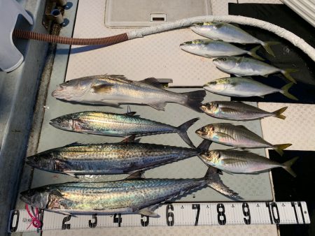 オーシャンスター(Ocean Star) …