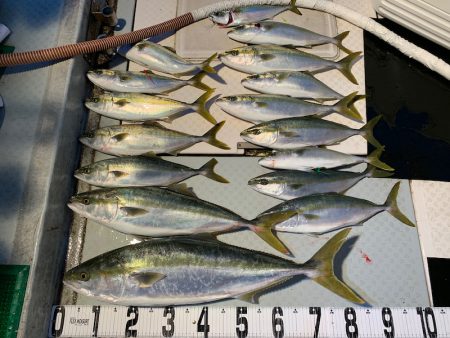 オーシャンスター(Ocean Star) …