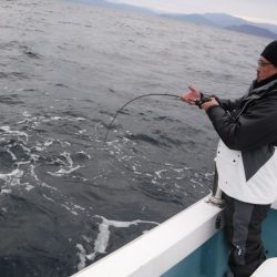 BlueNote Fishing Taxi 釣果