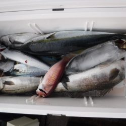 BlueNote Fishing Taxi 釣果