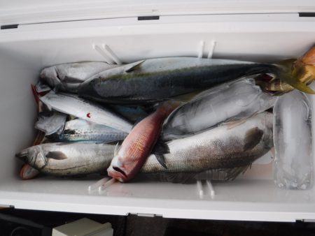 BlueNote Fishing Taxi 釣果