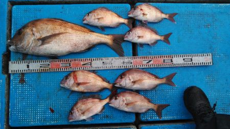 フィッシングガイド りょう 釣果