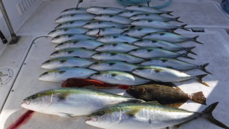 JDI Racing シールズマリンレジャー 釣果