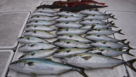 ＪＤＩ　Ｒａｃｉｎｇ　シールズマリンレジャ…