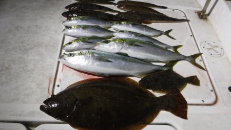 ＪＤＩ　Ｒａｃｉｎｇ　シールズマリンレジャ…