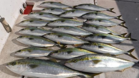 ＪＤＩ　Ｒａｃｉｎｇ　シールズマリンレジャ…