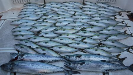 ＪＤＩ　Ｒａｃｉｎｇ　シールズマリンレジャ…