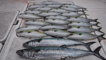 ＪＤＩ　Ｒａｃｉｎｇ　シールズマリンレジャ…