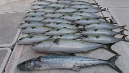 ＪＤＩ　Ｒａｃｉｎｇ　シールズマリンレジャ…