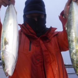 JDI Racing シールズマリンレジャー 釣果