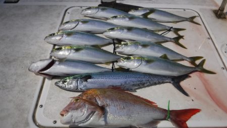 ＪＤＩ　Ｒａｃｉｎｇ　シールズマリンレジャ…