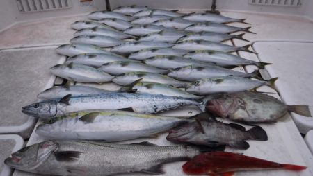 ＪＤＩ　Ｒａｃｉｎｇ　シールズマリンレジャ…