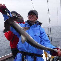 JDI Racing シールズマリンレジャー 釣果