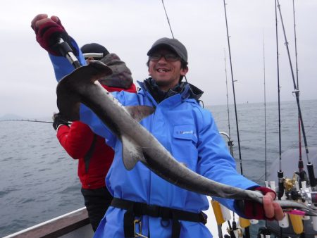 JDI Racing シールズマリンレジャー 釣果