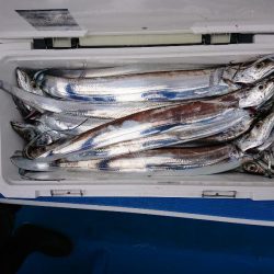 深川 吉野屋 釣果