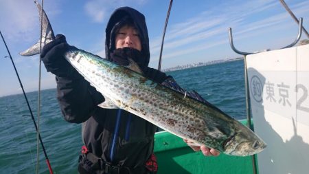 深川 吉野屋 釣果