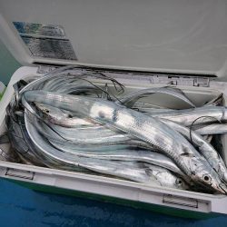 深川 吉野屋 釣果