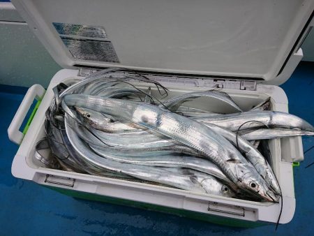 深川 吉野屋 釣果