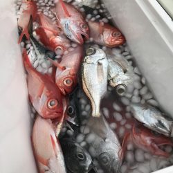 もと明丸 釣果