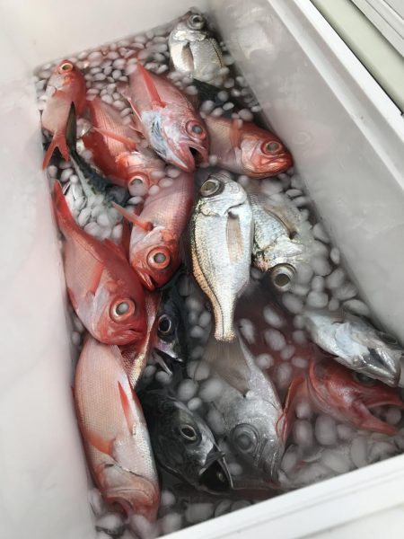 もと明丸 釣果