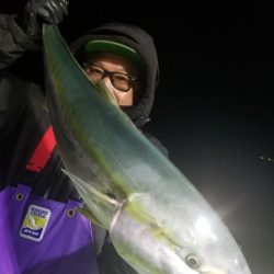 ゆたか丸 釣果